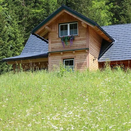 Вілла Forstauer'S Teichalm Gams bei Hieflau Екстер'єр фото